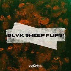 EPTIC - RUN IT (BLVK SHEEP FLIP!)