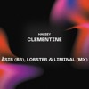 下载视频: Clementine -  Halsey (ǍSIR (BR), Lobster & Liminal (MX) Edit)