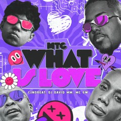 Mtg What Is Love - DJ David MM, Cjnobeat & Mc Gw