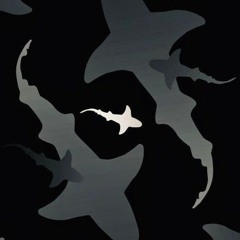 AFRICAN SHARK 001