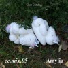 Download Video: cc.mix.05 - Amylia