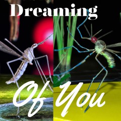 Dreaming Of You