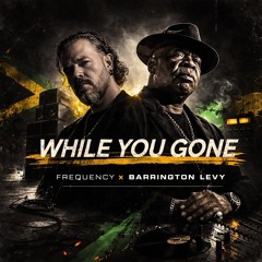 Frequency - While you gone 2026 (premaster 2).wav