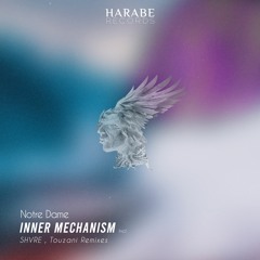 Notre Dame - Mind Prisoner (Touzani Remix)