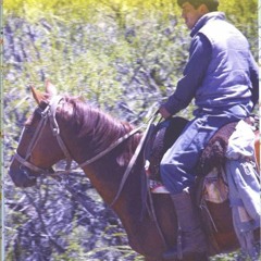 (EPUB) READ Argentina 1:2,200,000 Including inset of Buenos Aires, Buenos Aires