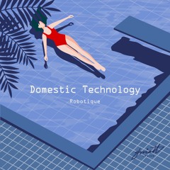 Domestic Technology - Robotique (Diskette Remix)