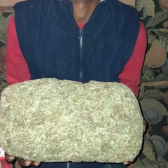 Cash