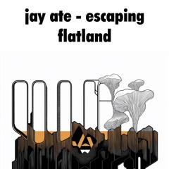 0003 ESCAPING FLATLAND