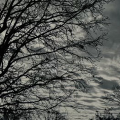 wake - J Ø S H.