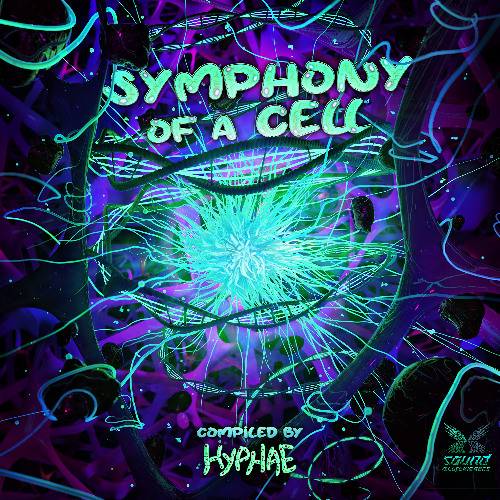 V/A 𝗦𝗬𝗠𝗣𝗛𝗢𝗡𝗬 𝗢𝗙 𝗔 𝗖𝗘𝗟𝗟 │Soundblasting Recs │Compiled by HYPHAE