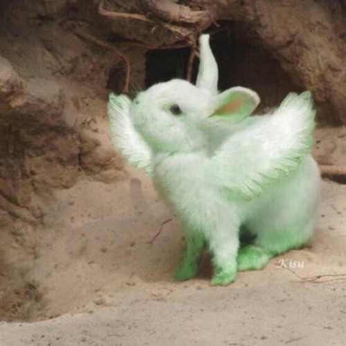 NATE X - PICK YOUR POISON (cade + toom) [ríos + slump audios]