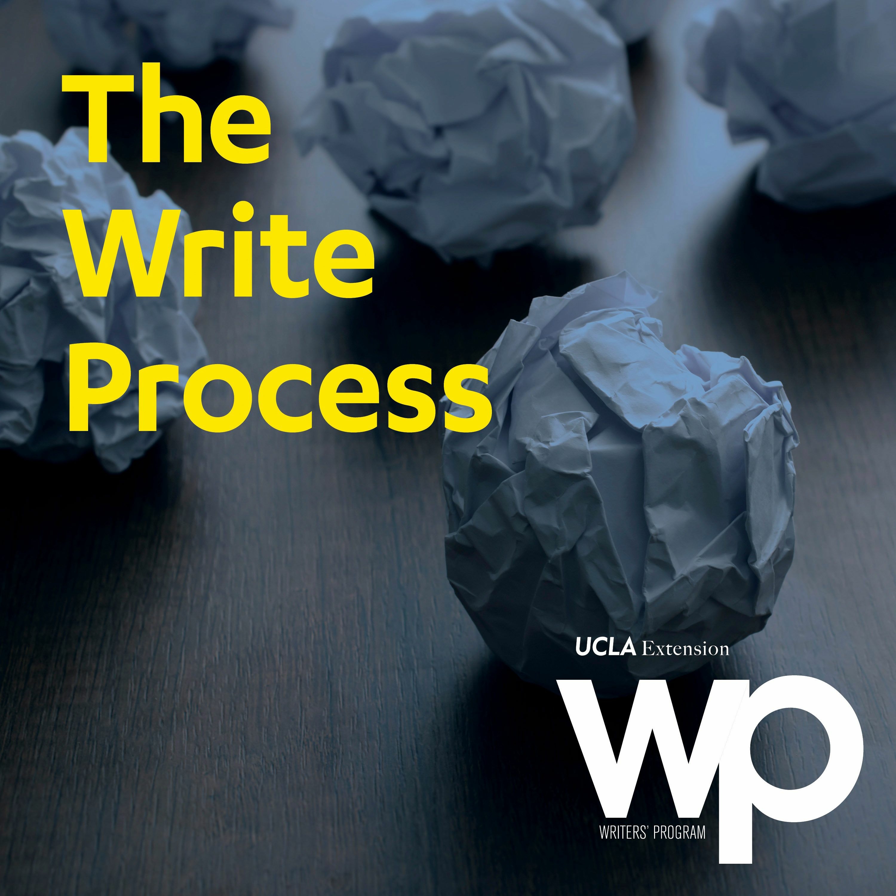 The Write Process