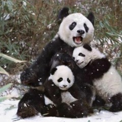 Landen's Playlist 12.0