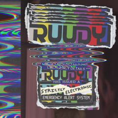 Ruudy - Strictly Electronic