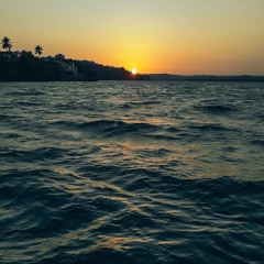 Quarantine Time With Elvis