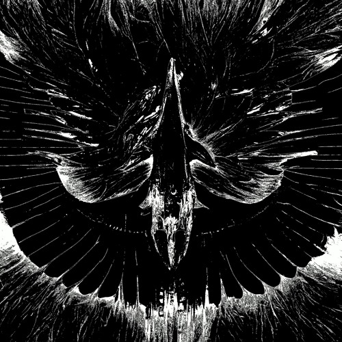 ALICAI x NO HOPE. - THUNDERBIRD [Free Download]