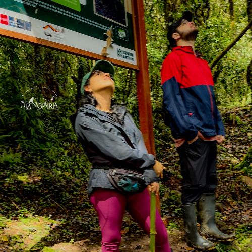 180425 / Listen Fauna / Katty García/ ANP PNYCH Binaural