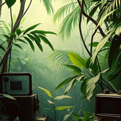 Out Of The Jungle