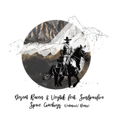 Desert Raven & Veytik feat. Soulpacifica - Space Cowboys (VadimoooV Remix) [trndmsk]