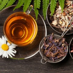 Preparaciones Herbolarias Simples