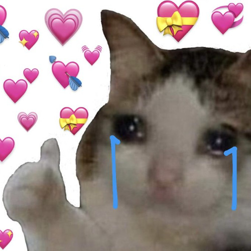 Meowington - Remember (you are never alone)