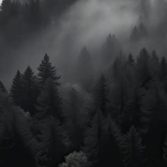 minimal echoes.mp3