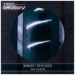 Nobody'sExcused - SoulGate
