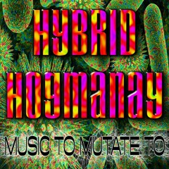 Hybrid Hogmanay (NYE Livestream Recording)