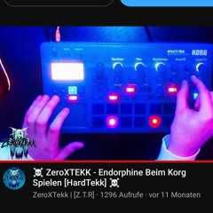☠️ ZeroXTEKK - Endorphine Beim Korg Spielen [HardTekk] ☠️.mp3
