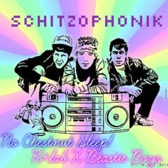 Schitzoph0nik - No Chestnut Sleep! (K+Lab X Beastie Boys) (Schitzo Mashup)