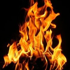 phonk that hits harder than freedom