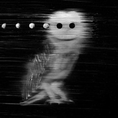 Human Energy - Trigga Fingaz Competition Mix