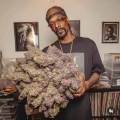 SEQUENCIA SERIE GOLD DAS ANTIGAS(2026)LENTIN PRA OUVIR CHAPADO,GRAVUDÃO(MC CAROL)DJ 2N DE CAMPOS