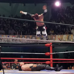 guerrero (wiley flip)