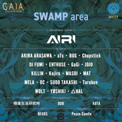 GAIA 2025 SWAMP area 8–10 AM