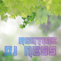 DJ Ness - Routine