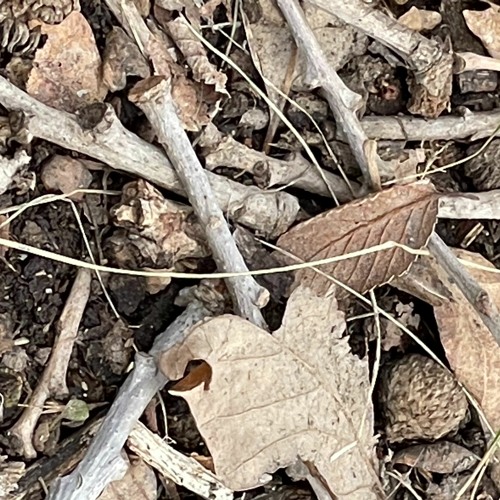 i cant admit the things that i forget