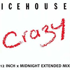 Icehouse - Crazy (12 Inch x Midnight Extended Mix)