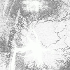 【v_flower】IMG