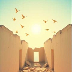 All this time -  Siren Song