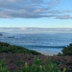 "Did you know I'm utterly insane?"