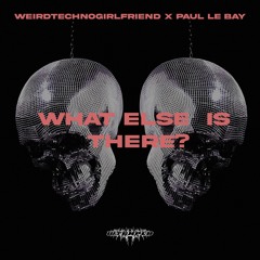 weirdtechnogirlfriend & PAUL LE BÁY - WHAT ELSE IS THERE?