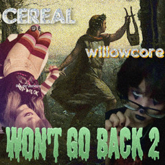 WON'T GO BACK 2 (feat. willowcore) prod. WARCRIMES