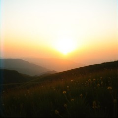 Someone like you remix