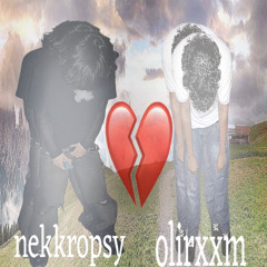 ela 2 w/ nekkropsy