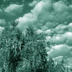 _IDL_variation