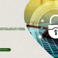 Red Team Courses or Cyber Security Analyst Course_ Choosing the Best Fit