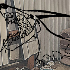 Junk Collector <teenslug>