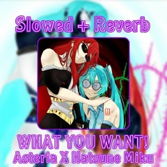 What You Want! - Slowed + Reverb — Asteria X Hatsune Miku