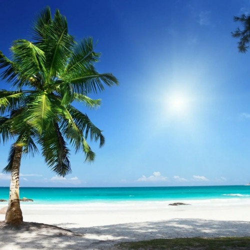 Activisme romantic background music DOWNLOAD